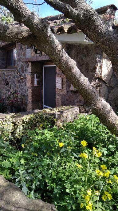 Rural House To Take A Break, La Serreria 25 - Private Garden Tacoronte Exteriör bild